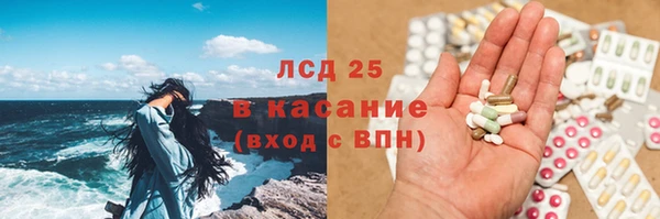 прущие грибы Зерноград