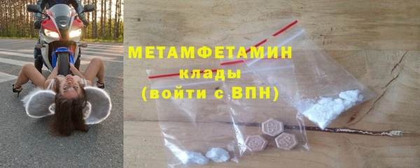 прущие грибы Зерноград